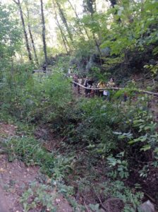 549160915_1374413604686363_2362868358245697907_n