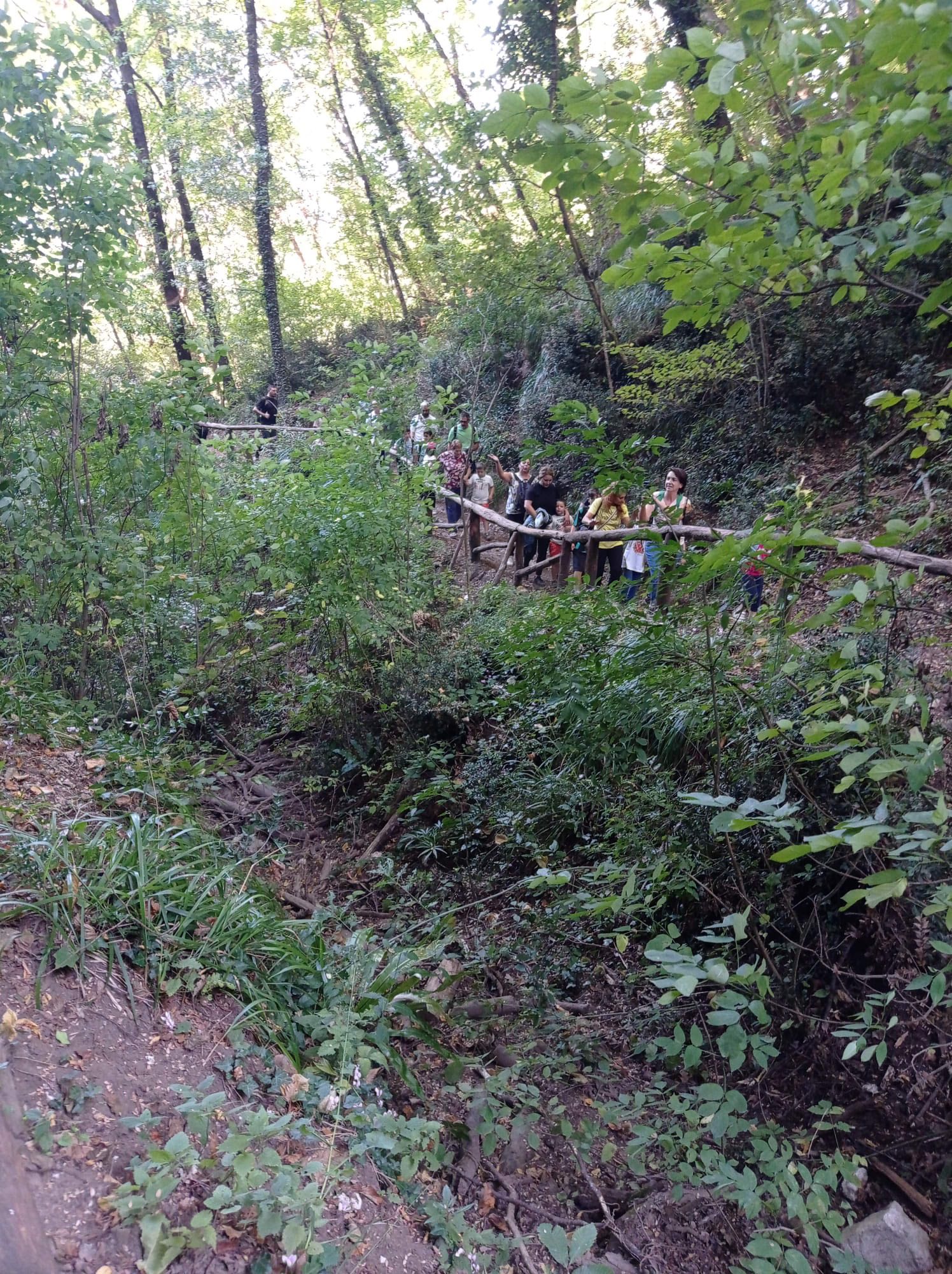 549160915_1374413604686363_2362868358245697907_n