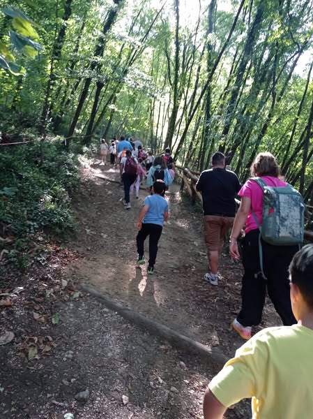 549783227_1374413568019700_4793422523097939461_n