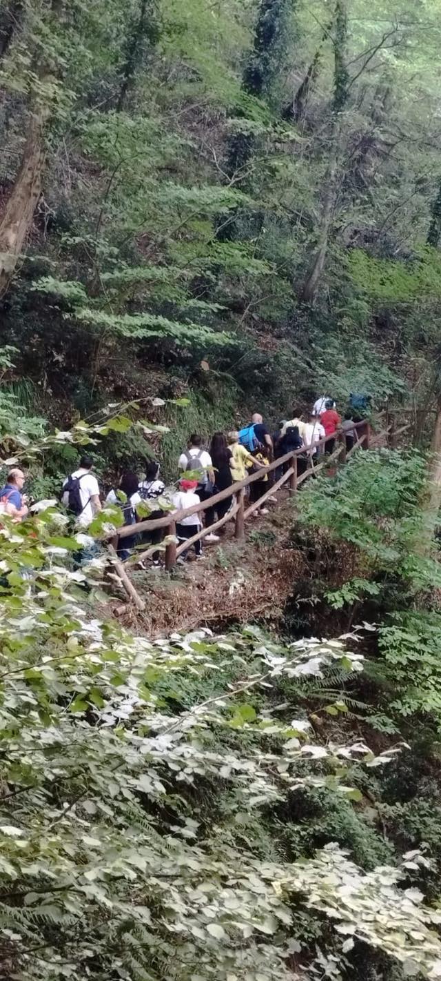 550510274_1374397574687966_2427836458238525717_n