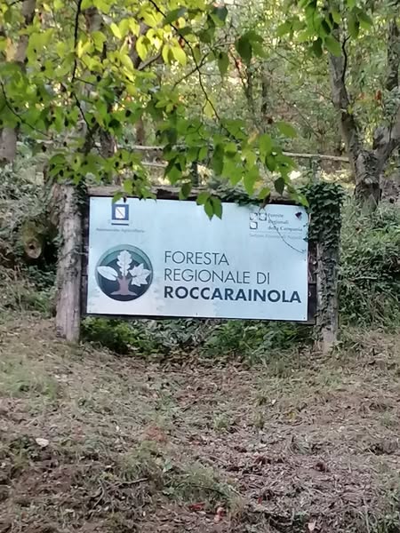 553371816_1374413358019721_2920105746311452541_n (1)